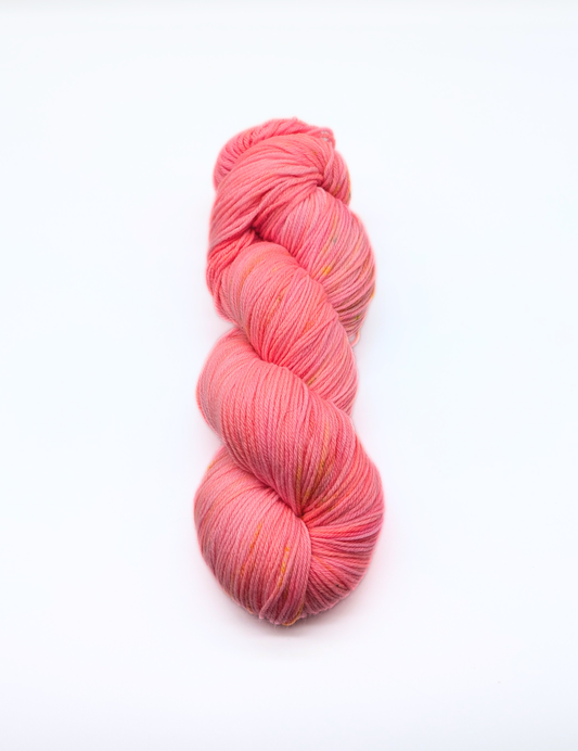 Coral Confidence